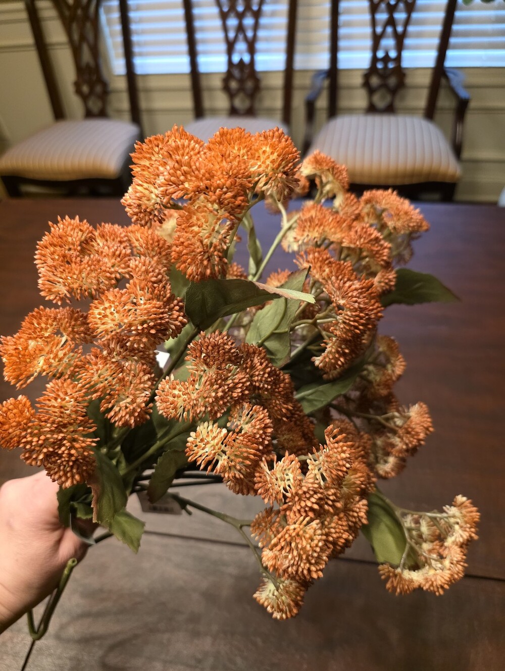 Hearth and Hand Orange Sedum 25" Set Of 5 Target Fall